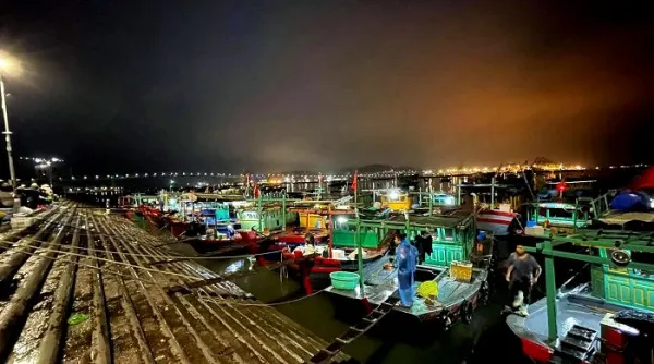 Ha Long Fishing Port