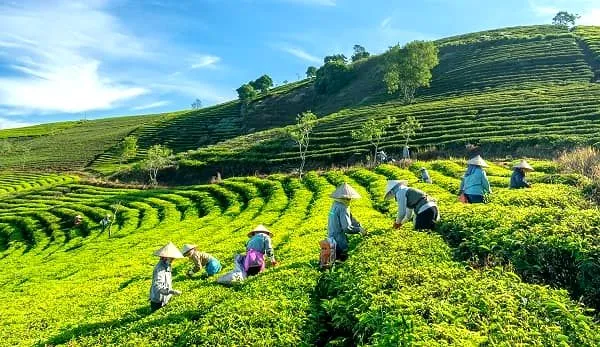 Cao nguyên Vân Hòa